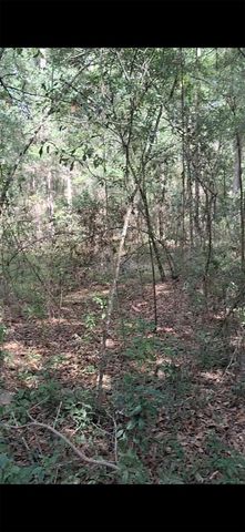 SW PEACOCK DRIVE, Dunnellon, FL 34431