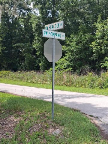 SW PEACOCK DRIVE, Dunnellon, FL 34431