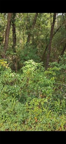 SW PEACOCK DRIVE, Dunnellon, FL 34431