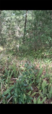 SW PEACOCK DRIVE, Dunnellon, FL 34431
