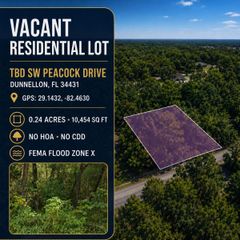 SW PEACOCK DRIVE, Dunnellon, FL 34431