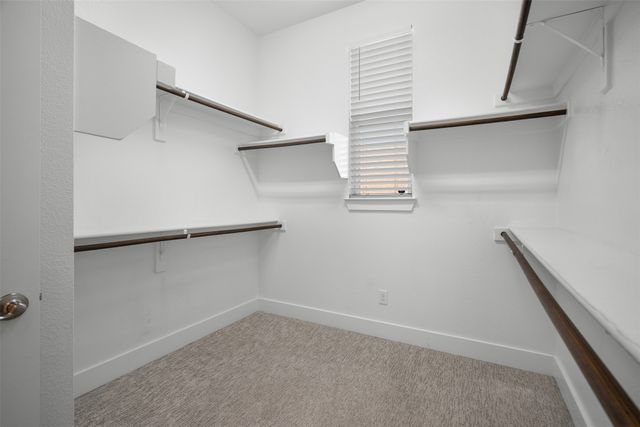 8091 Sunflower Lane, Dallas, TX 75252
