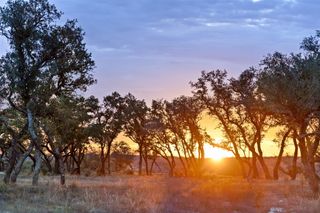 1422-33 RM 2766, Johnson City, TX 78636