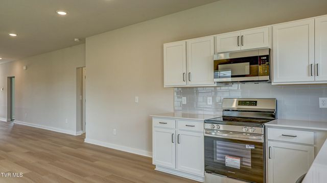 4178 Gambrel Oaks Street, Blountville, TN 37617