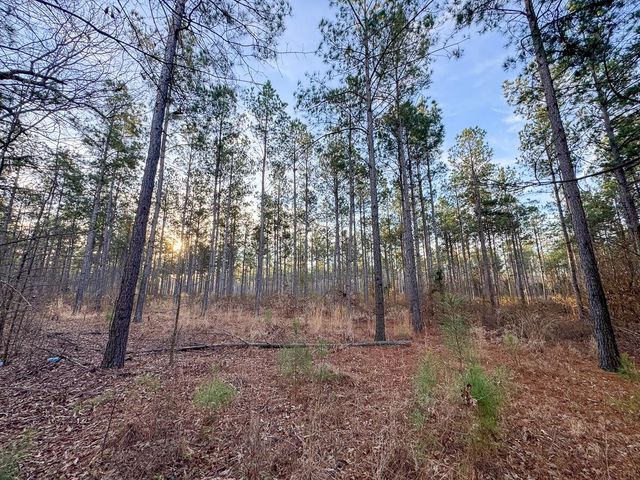 T-3 Cr 4302, De Kalb, TX 75559