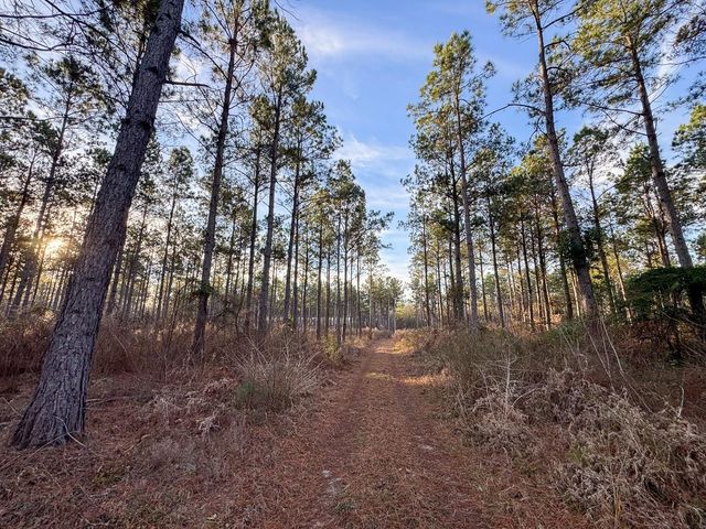 T-3 Cr 4302, De Kalb, TX 75559