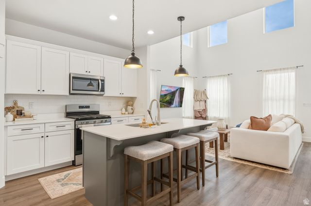 993 N WAYNE DR, Saratoga Springs, UT 84045