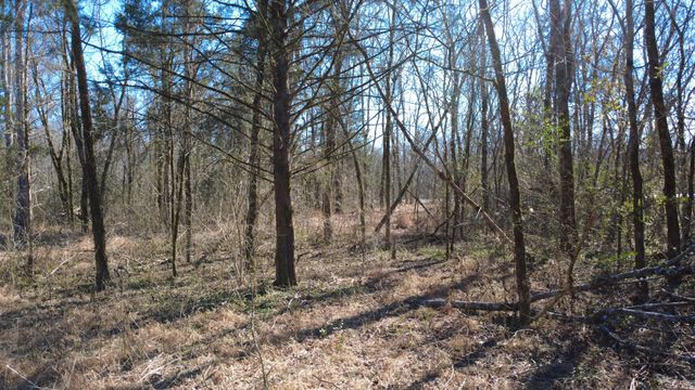 0 Carters Creek Pike, Columbia, TN 38401