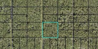 000 DILLON AVENUE, Hastings, FL 32145