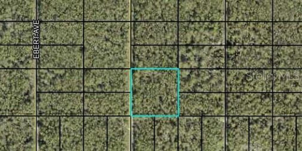 000 DILLON AVENUE, Hastings, FL 32145