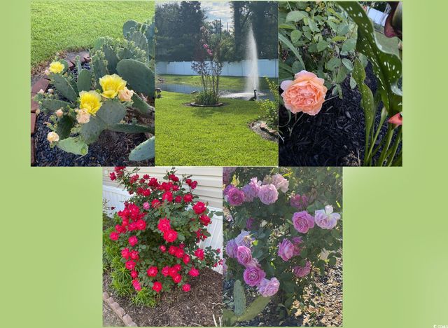 121 Darlene Dr., Myrtle Beach, SC 29588