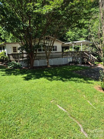 9 Smokey Cove Road, Canton, NC 28716