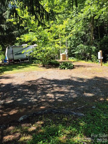 9 Smokey Cove Road, Canton, NC 28716