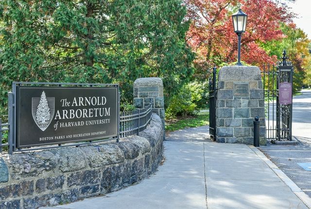 1 Catenaccia Way 47, Boston, MA 02130