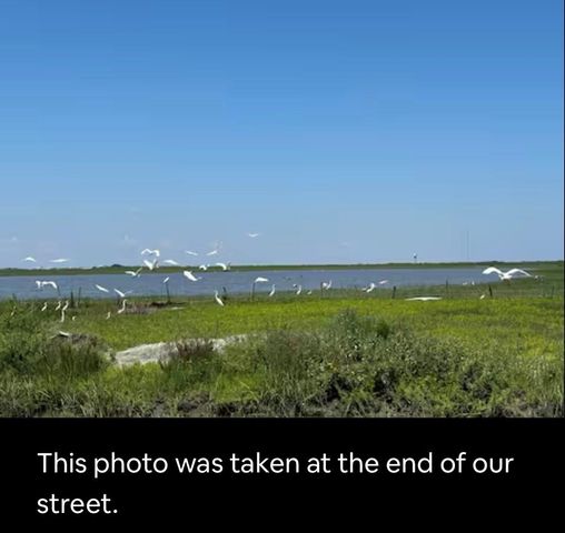 1337 Trinidad Lane, Port Bolivar, TX 77650