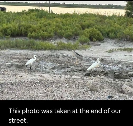 1337 Trinidad Lane, Port Bolivar, TX 77650