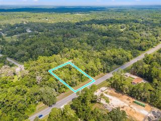 0 TREIMAN BOULEVARD, Webster, FL 33597