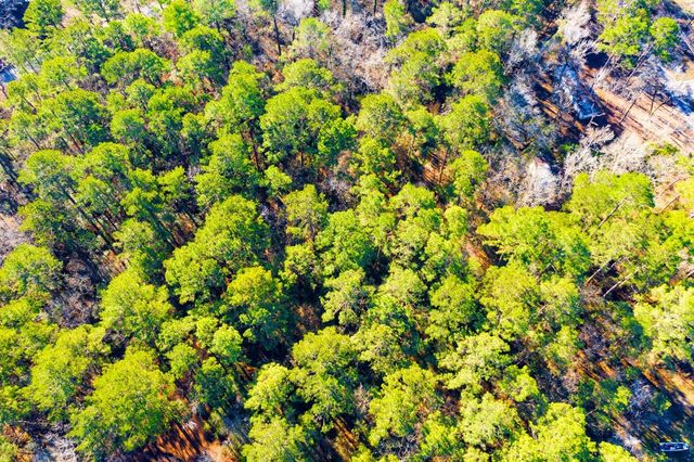 Lot 30 Cedar Court, Trinity, TX 75862