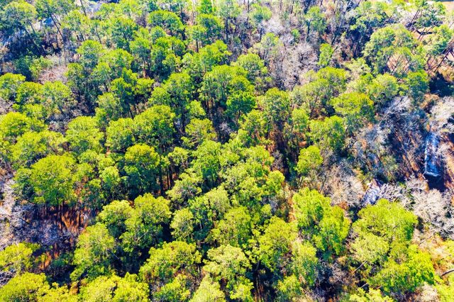 Lot 30 Cedar Court, Trinity, TX 75862