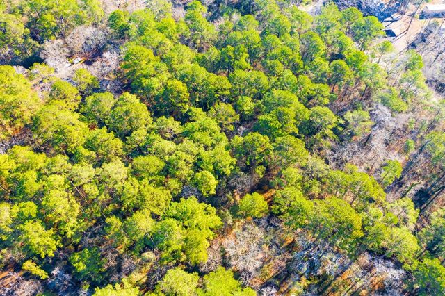 Lot 30 Cedar Court, Trinity, TX 75862