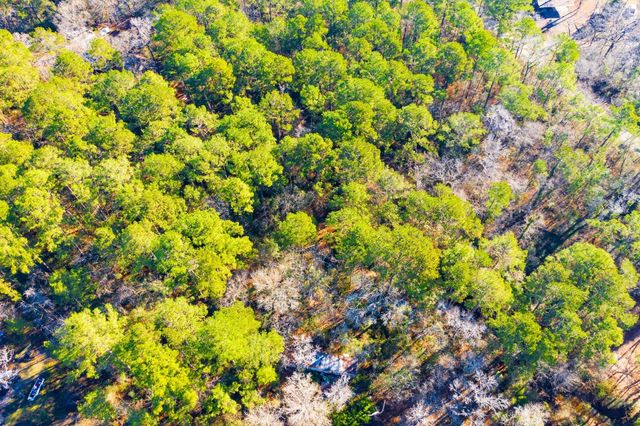 Lot 30 Cedar Court, Trinity, TX 75862