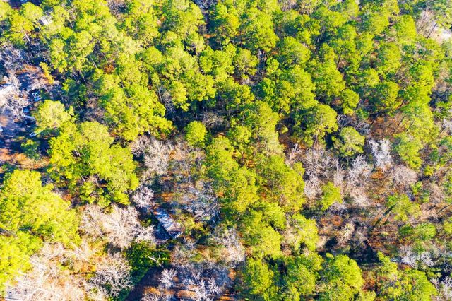 Lot 30 Cedar Court, Trinity, TX 75862