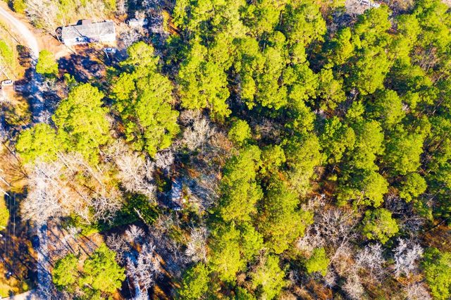 Lot 30 Cedar Court, Trinity, TX 75862