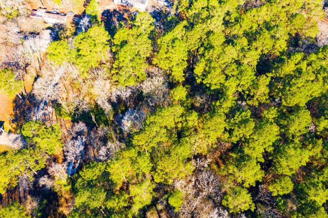 Lot 30 Cedar Court, Trinity, TX 75862