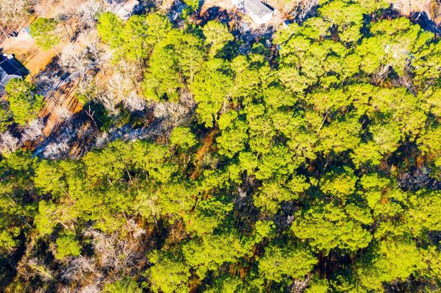 Lot 30 Cedar Court, Trinity, TX 75862