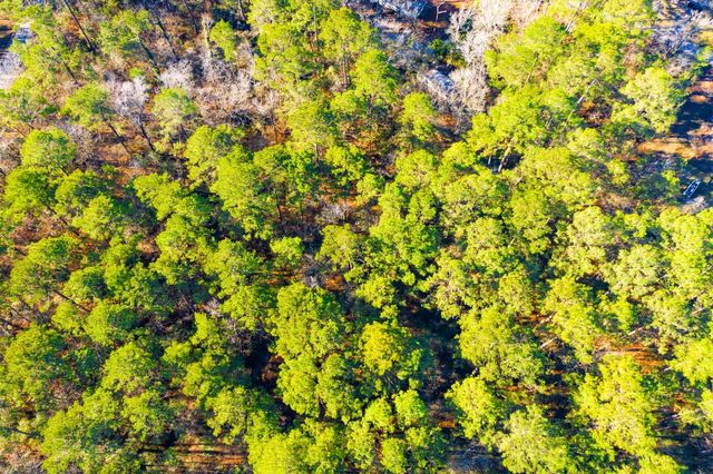 Lot 30 Cedar Court, Trinity, TX 75862