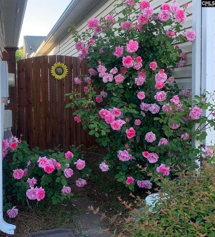 301 Baltica Lane, Irmo, SC 29063