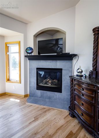 890 E Kings Deer Point, Monument, CO 80132