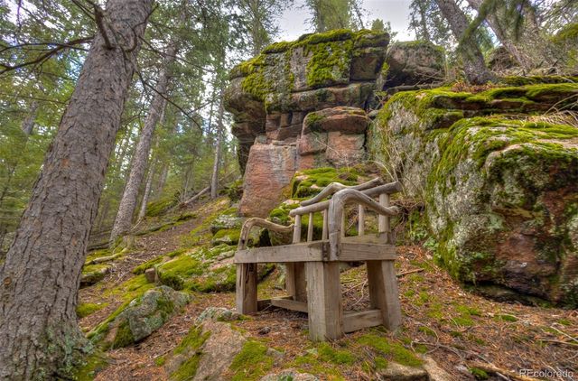 8116 S Brook Forest Road, Evergreen, CO 80439