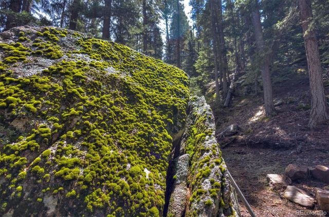 8116 S Brook Forest Road, Evergreen, CO 80439