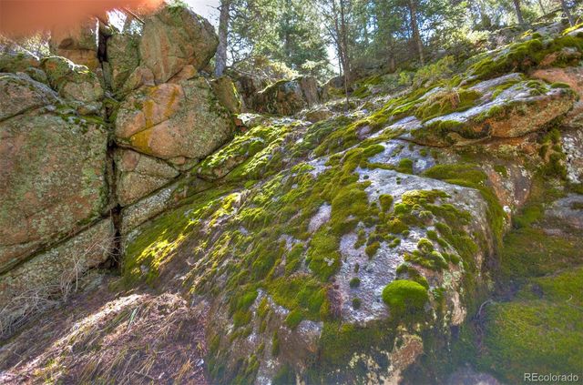 8116 S Brook Forest Road, Evergreen, CO 80439