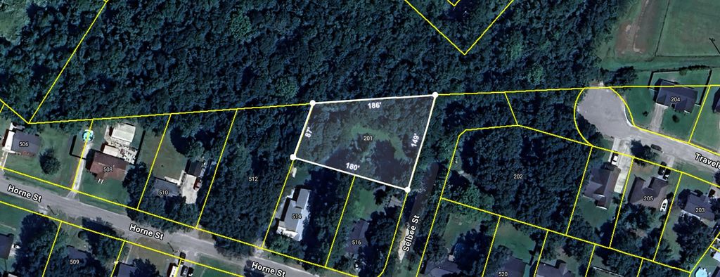 201 Selbee Street, Moncks Corner, SC 29461