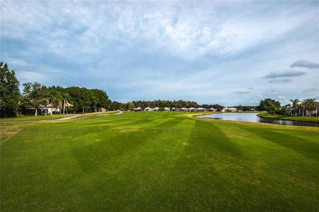 Image 61 of property listing at 1186 DARTFORD DRIVE, Tarpon Springs, FL 34688