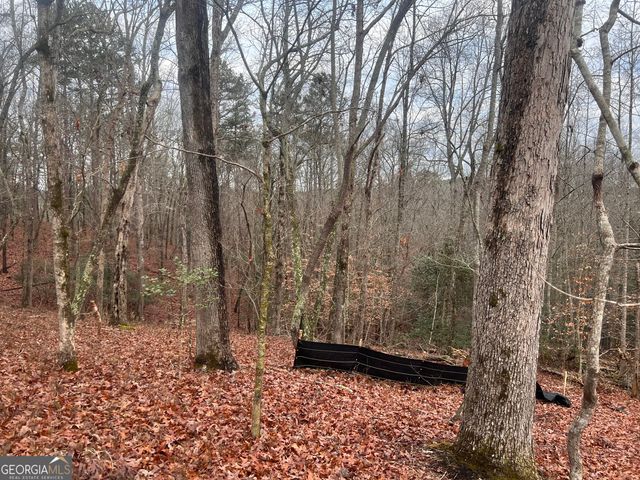 329 Twisting Ridge Trail, Demorest, GA 30535