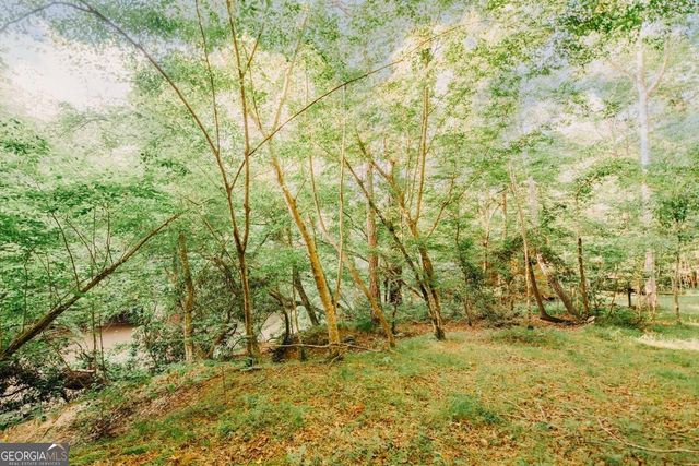 329 Twisting Ridge Trail, Demorest, GA 30535