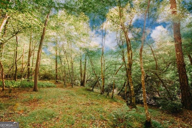 329 Twisting Ridge Trail, Demorest, GA 30535