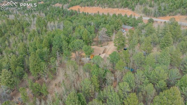 847 Timber Ridge Road, Divide, CO 80814
