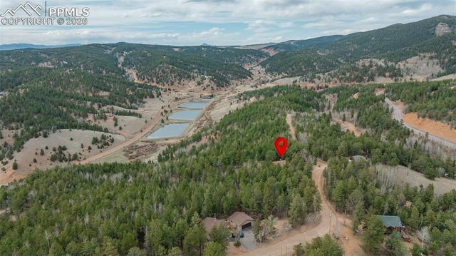 847 Timber Ridge Road, Divide, CO 80814