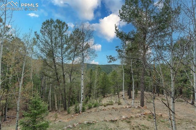847 Timber Ridge Road, Divide, CO 80814