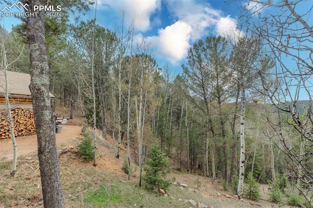 847 Timber Ridge Road, Divide, CO 80814