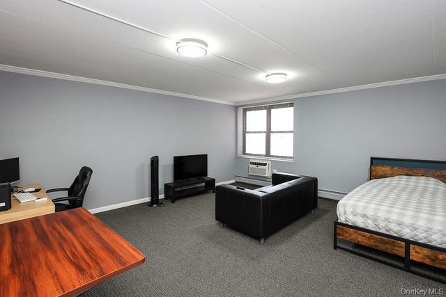 100 Clinton Avenue 2X, Mineola, NY 11501