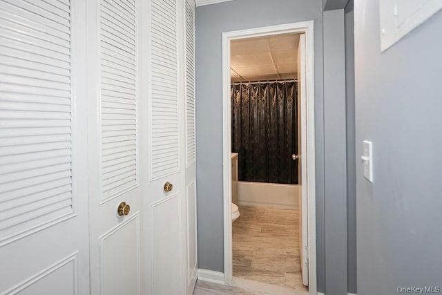 100 Clinton Avenue 2X, Mineola, NY 11501