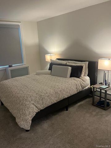 101 Jackson Avenue 2P, Mineola, NY 11501