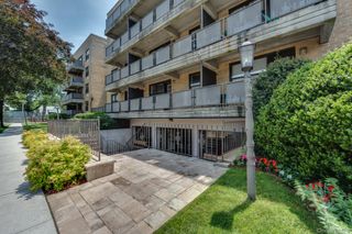 101 Jackson Avenue 2P, Mineola, NY 11501