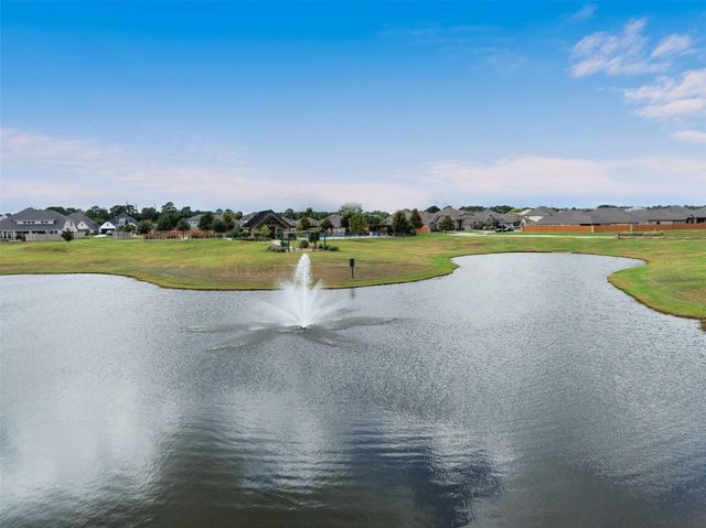 19014 Blossoming Buttercup Drive, Tomball, TX 77377