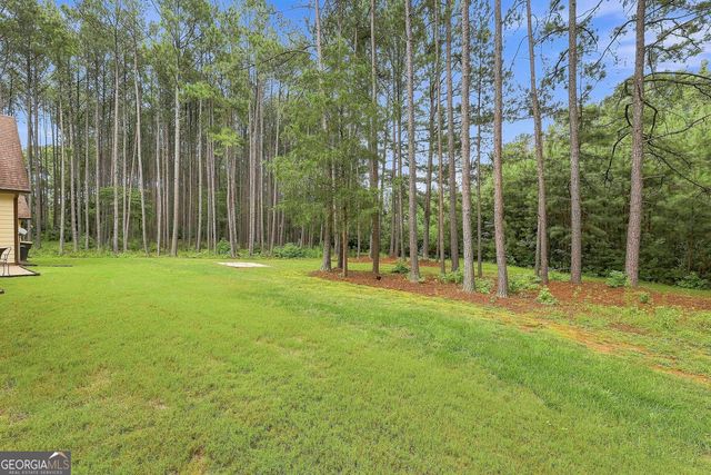 19 Rock House Estates Drive, Senoia, GA 30276